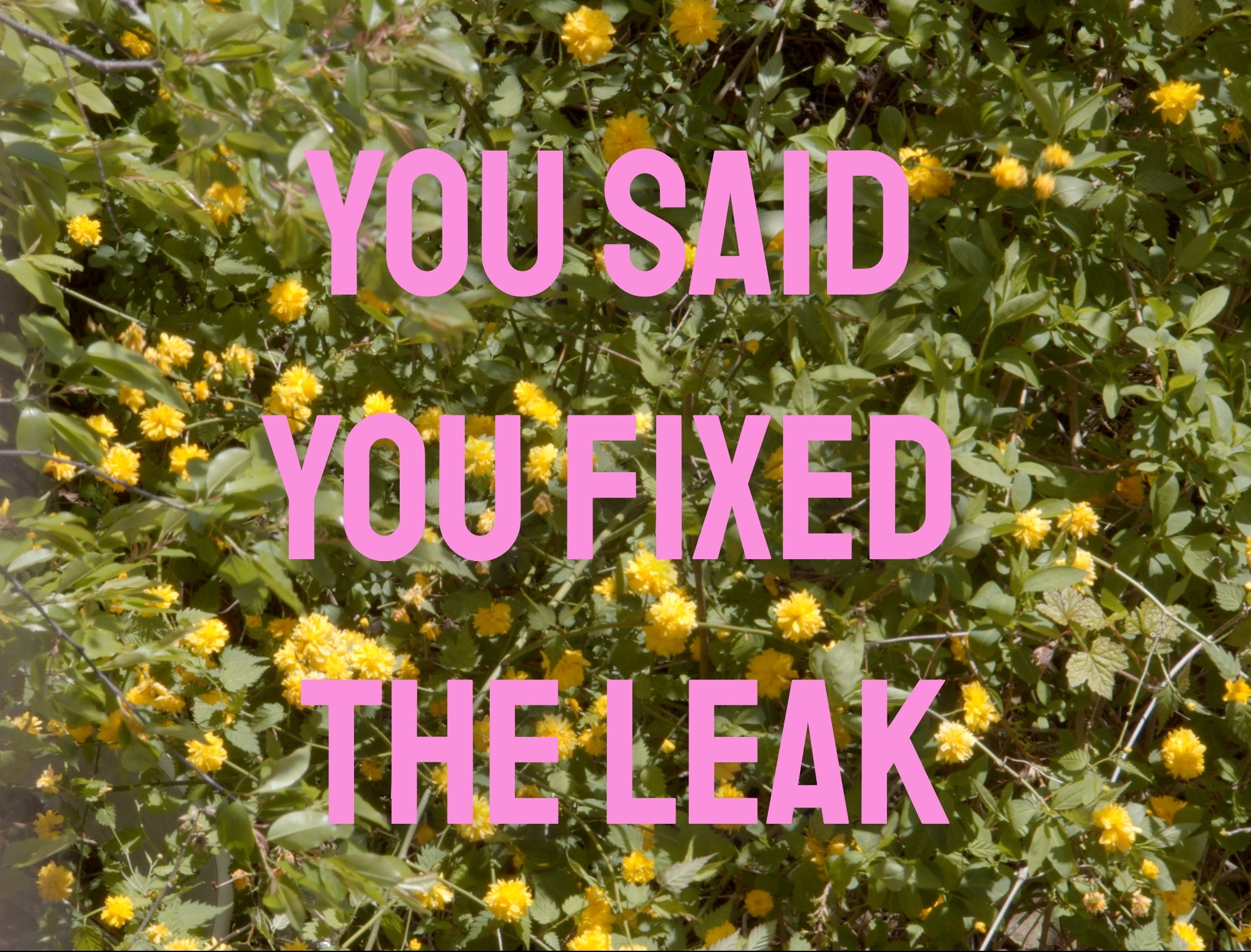 You Said You Fixed The Leak